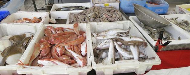 NIK o funkcjonowaniu centrów pierwszej sprzedaży ryb